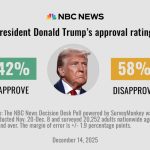 Тріщини у фундаменті: чому MAGA починає сумніватися у Трампі перед 2026 роком