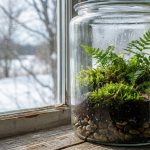 Автономна екосистема на підвіконні: чому варто зайнятися вирощуванням рослин у банках цієї зими