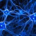 Електроліти: що це таке, кому вони справді потрібні і чи варто їх пити