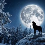 Містичний старт року: чим небезпечна та унікальна "Повня Вовка" 3 січня