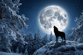 Містичний старт року: чим небезпечна та унікальна "Повня Вовка" 3 січня