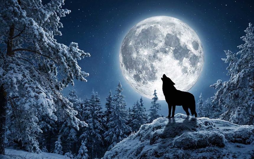 Містичний старт року: чим небезпечна та унікальна "Повня Вовка" 3 січня