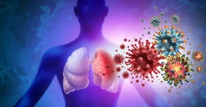 Ніпах: що це за вірус, симптоми, як заражаються та кого перевіряють на кордоні