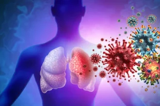 Ніпах: що це за вірус, симптоми, як заражаються та кого перевіряють на кордоні