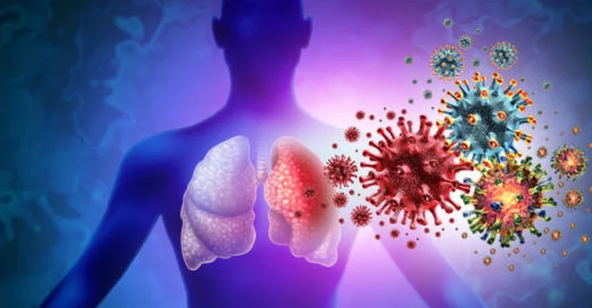 Ніпах: що це за вірус, симптоми, як заражаються та кого перевіряють на кордоні