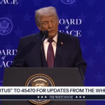 Рада миру: що це, навіщо створили, хто приєднався та чи стане альтернативою ООН