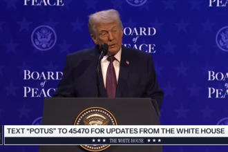 Рада миру: що це, навіщо створили, хто приєднався та чи стане альтернативою ООН