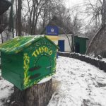 Дебют Тимка IV: новий харківський віщун визначив, скільки ще триватиме зима в Україні