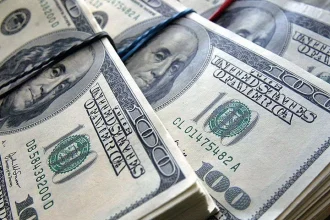 Курс валют НБУ на 18 лютого 2026: скільки коштують долар, євро та злотий сьогодні