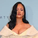 Будинок Ріанни в Лос-Анджелесі обстріляли з гвинтівки, підозрювану затримали