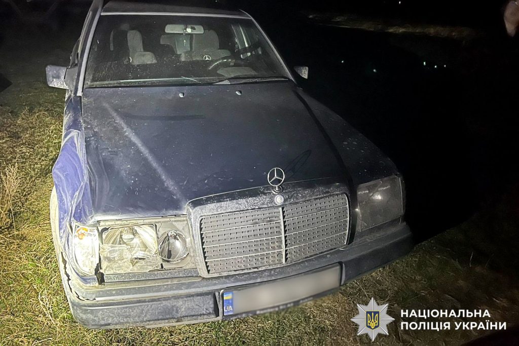 ДТП з оленем Борисом на Рівненщині — що сталося і в якому він стані