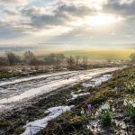 Перший подих весни: прогноз погоди в Україні на 1 березня та температурні контрасти нового сезону