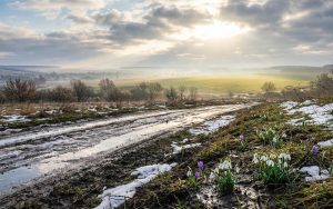 Перший подих весни: прогноз погоди в Україні на 1 березня та температурні контрасти нового сезону