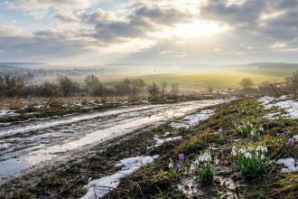 Перший подих весни: прогноз погоди в Україні на 1 березня та температурні контрасти нового сезону