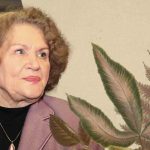 Масштабний всеукраїнський флешмоб: як Україна готується до 96-річчя Ліни Костенко