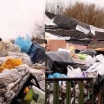 Екологічна бомба в житлових кварталах: як приватні подвір'я Житомира перетворюються на небезпечні сміттєзвалища