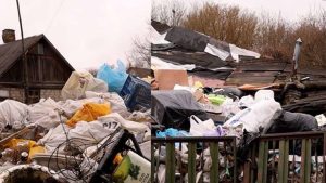 Екологічна бомба в житлових кварталах: як приватні подвір'я Житомира перетворюються на небезпечні сміттєзвалища