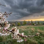 Температурна аномалія квітня: аналіз погодних ризиків до кінця місяця