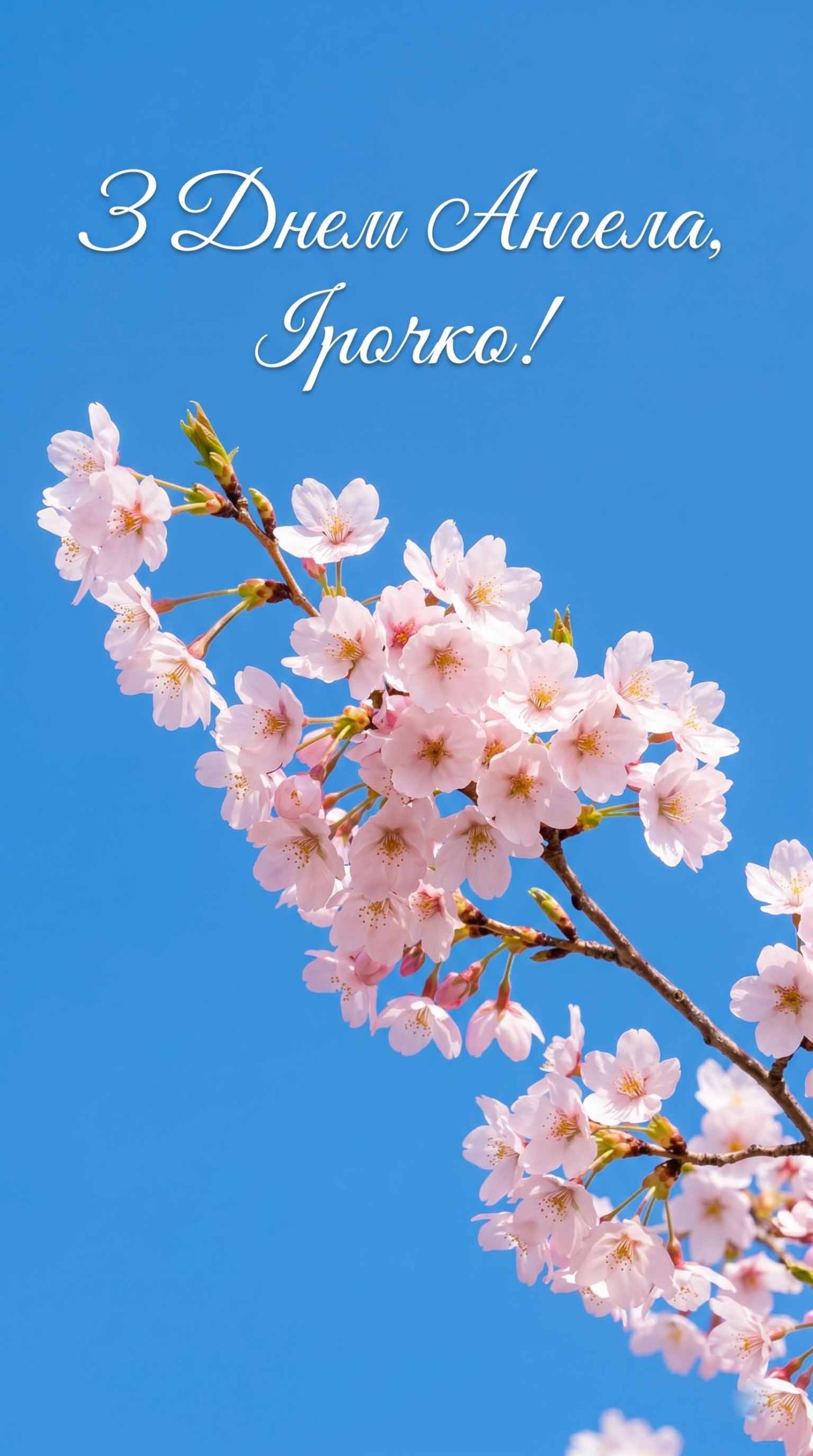 ніжні квіти для ірини на іменини