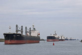 До 70 суден очікують біля Сулінського каналу на прохід до українських портів. Дефіцит лоцманів, повітряні тривоги й обмежена пропускна здатність сповільнили експорт українського зерна.