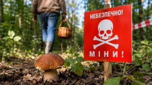 Сезон грибів в Україні 2026 почався на тлі мінної небезпеки. Де не можна заходити до лісу, які області залишаються ризикованими та як діяти при виявленні міни чи боєприпасу.